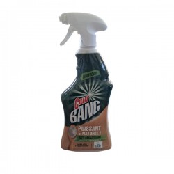 CILLIT BANG Spray 750ml Degraissant Ecolabel Fr.