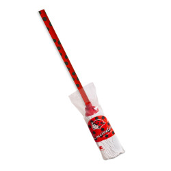 Serpillière à franges blanc 160gr +manche 120cm COCCINELLA